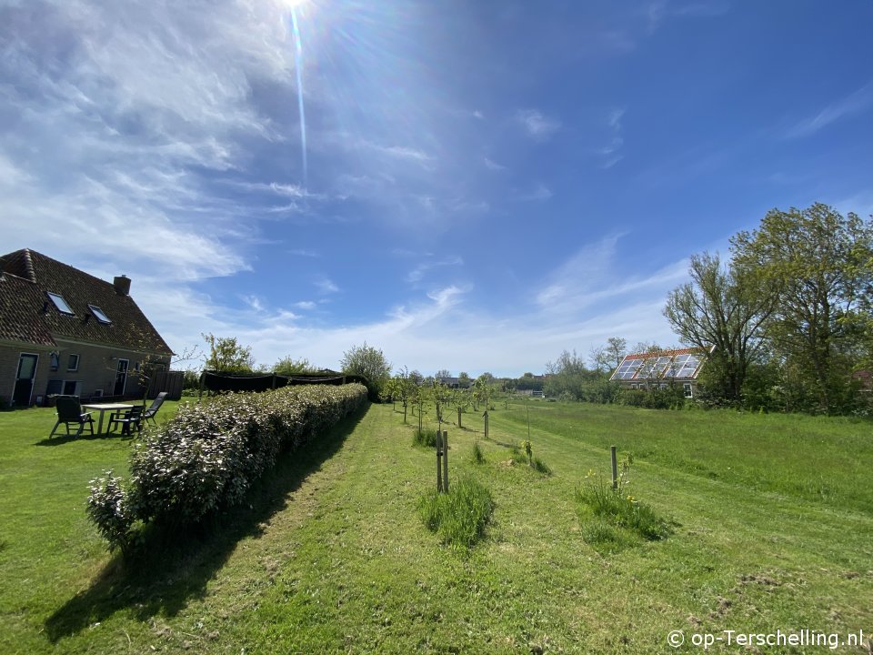 Kluut (Landerum) Kluut (Landerum)