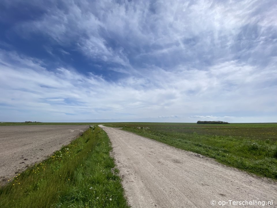 Kluut (Landerum) Kluut (Landerum)