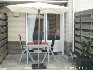 Bonte Strandloper (1), im Urlaub auf Vlieland
