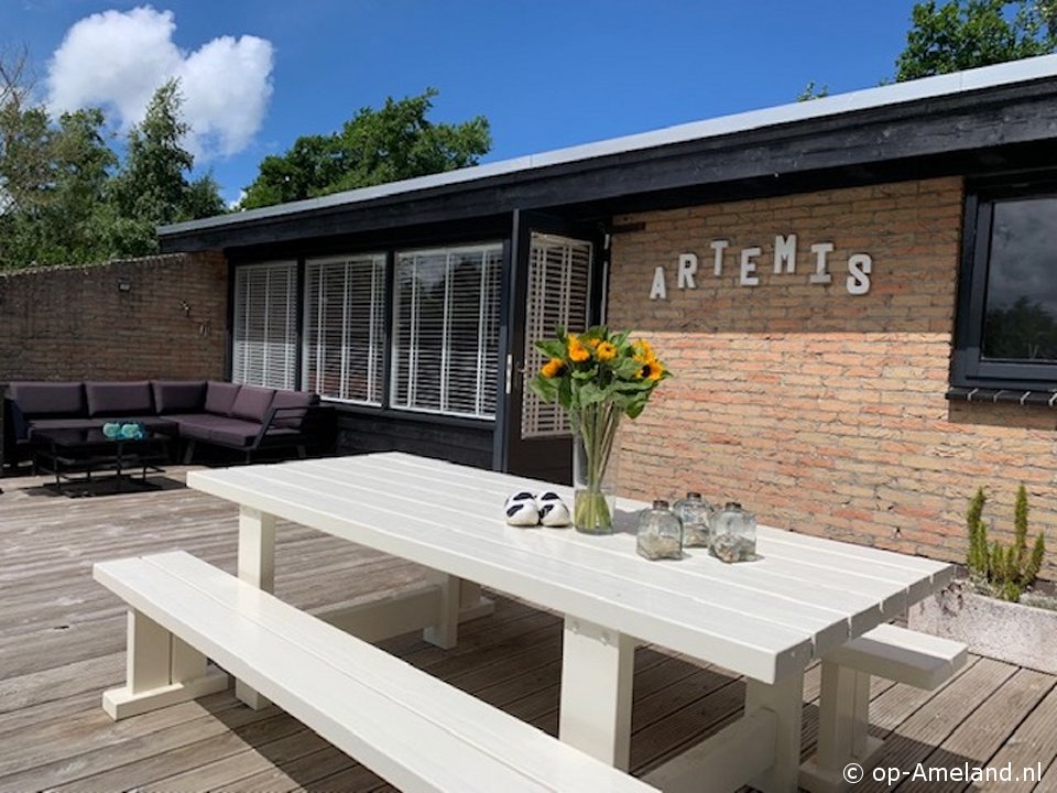 Artemis, Nehmen Sie Ihren Hund mit in ein Ferienhaus am Meer
