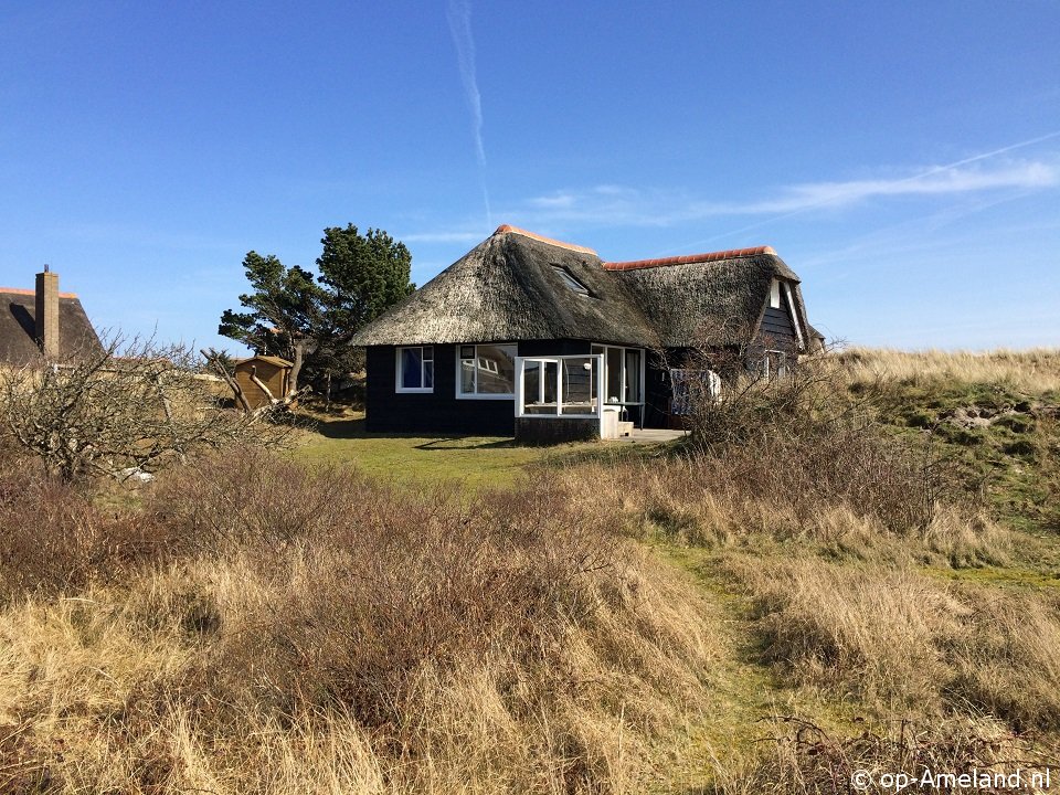 Aurora, Nehmen Sie Ihren Hund mit in ein Ferienhaus am Meer