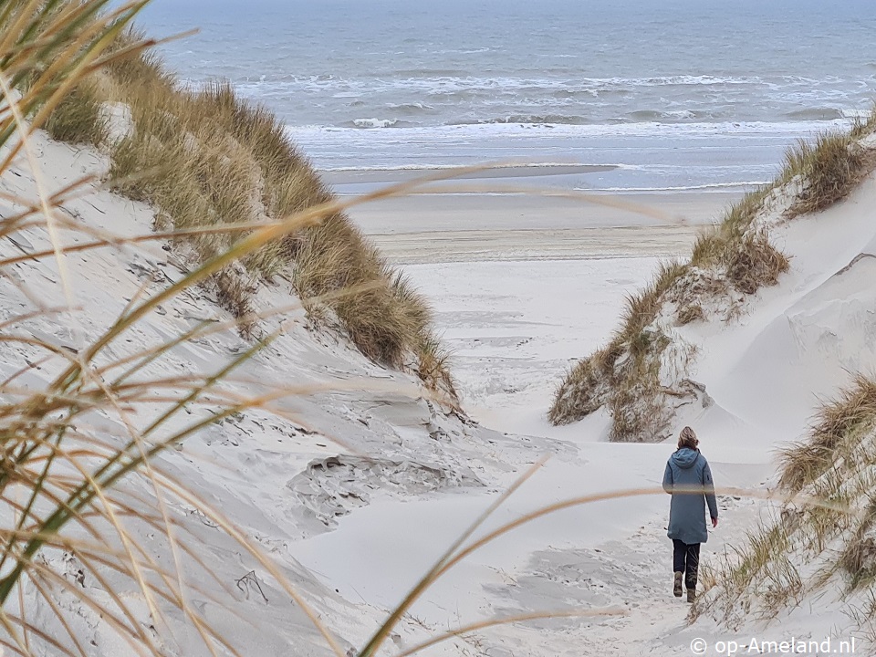 Strandloper (Buren) Strandloper (Buren)
