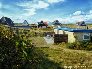 Albatros, im Urlaub auf Vlieland