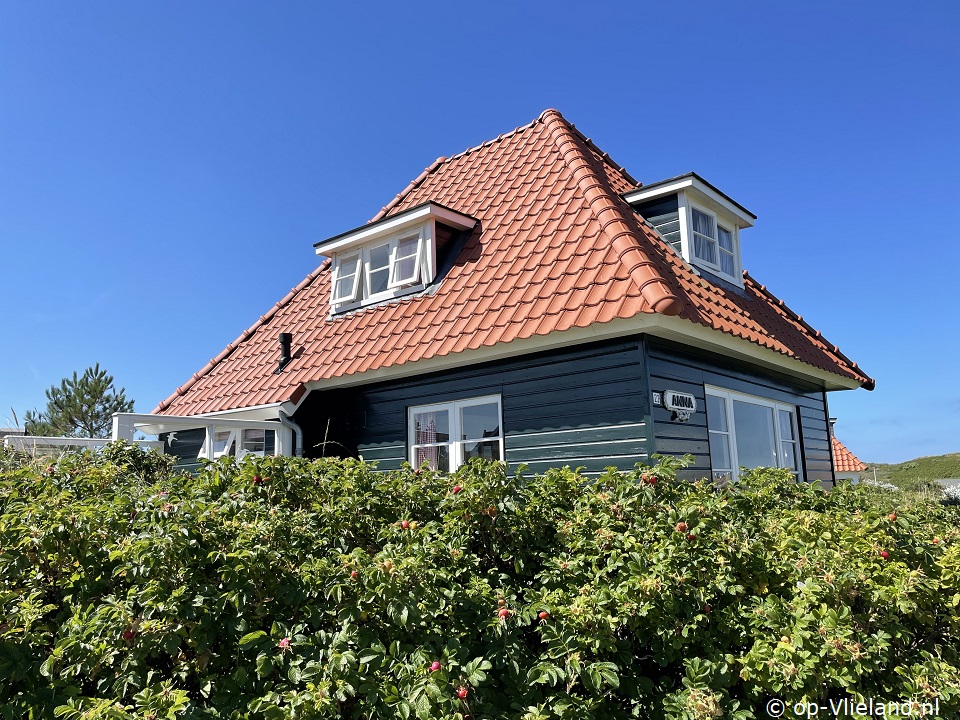 Anna, im Urlaub auf Vlieland