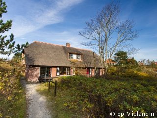 Duinpieper, im Urlaub auf Vlieland