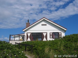 Flierefluiter, im Urlaub auf Vlieland